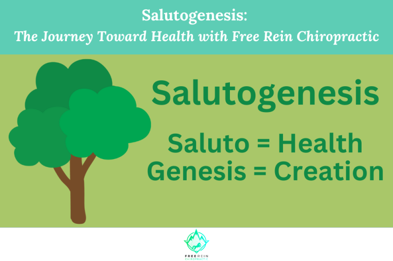 Salutogenesis The Journey Toward Health with Free Rein Chiropractic